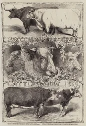 Smithfield Club Viehschau, 1859